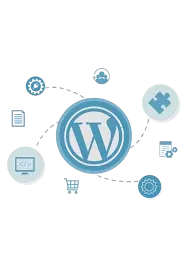 rinshida-website-image-best-freelance-digital-marketer-in-calicut (9)